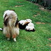 Bonnie Oliver Photo 13