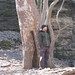 George April Photo 7