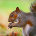 Michael Jinks Photo 30