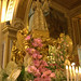 Maria Tocco Photo 7