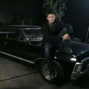 Mark Fetter Photo 4