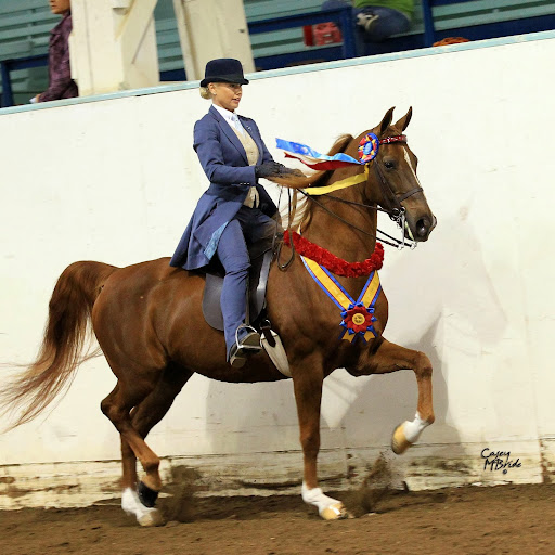 April Richardson Photo 39