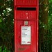 John Pinkney Photo 29