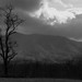 Ray Schaefer Photo 18