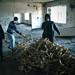 Sandra Michaelis Photo 9