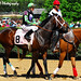 Terry Thompson Photo 44