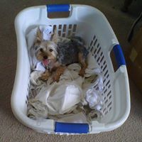 Ruby Briggs Photo 6