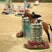 Tom Quigley Photo 29