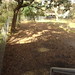 Theresa James Photo 11