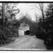 Helen Miller Photo 21