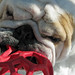 Kelly Macintyre Photo 12