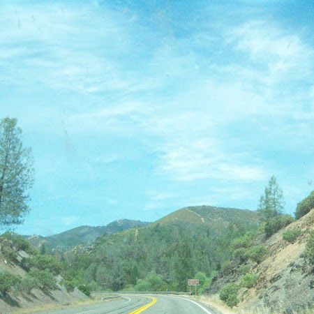 Terry Winters Photo 16