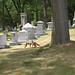 Phillip Stein Photo 11