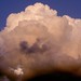 Terrie Brown Photo 13