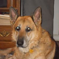 Deborah Varner Photo 18