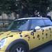 Matthew Lesko Photo 16