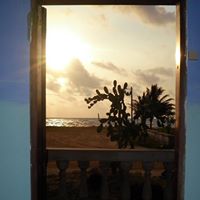 Jon Lang Photo 37