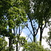 Janet Hawks Photo 12
