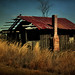 Michael Straw Photo 28