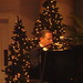 Gerald Wolfe Photo 20