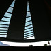 John Elrod Photo 15