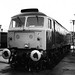 Daniel Gooch Photo 11