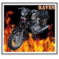 Raven Raven Photo 13