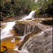 Cliff Dodd Photo 8