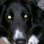 Jonathan Waterman Photo 26