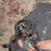 Barbara Hoch Photo 6