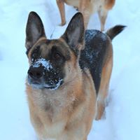Winston Richards Photo 10