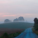 Dawn Wilcox Photo 35