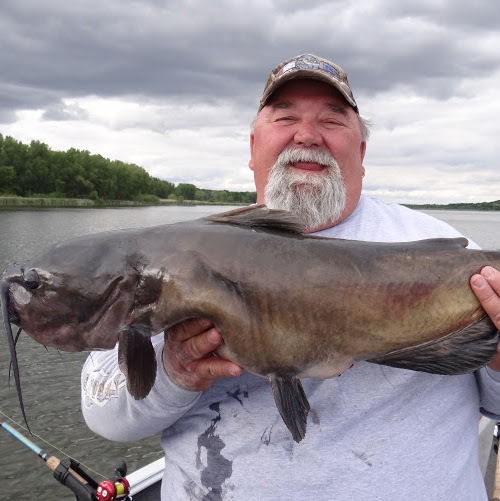 Ron Workman Photo 15