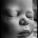 Baby Webber Photo 6