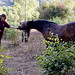 Alison Treat Photo 6