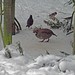 Kent Partridge Photo 8