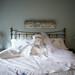Kimberly Dow Photo 16