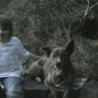 John Rabey Photo 4