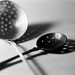 Susan Spoon Photo 8