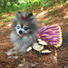 Janet Sass Photo 7