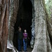 Michele Muir Photo 15