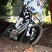 Steve Gwin Photo 22