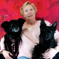 Nancy Koski Photo 15