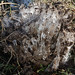 Craig Needham Photo 14