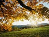 Sue Poole Photo 28