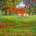Anne Yates Photo 11