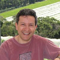 David Weinstein Photo 52
