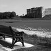 Roland Rees Photo 6