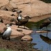 Bill Combs Photo 9