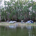Nevin Camp Photo 6